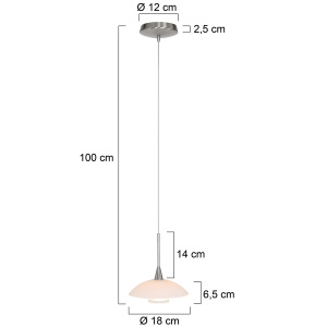 Steinhauer Hanglamp Tallerken 2655ST Modern 2de kans