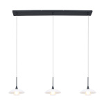 Hanglamp Steinhauer Tallerken Zwart 2654ZW-2654ZW