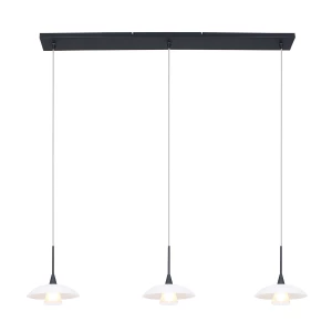 Hanglamp Steinhauer Tallerken Zwart 2654ZW-2654ZW