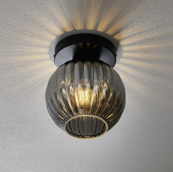 Freelight Plafondlamp Zucca matzwart / smoke PL8810SK