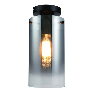 Freelight plafondlamp Ventotto PL5821SK 2dekansje
